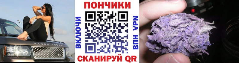 Купить закладку А ПВП  Марихуана  Меф  ГАШИШ  Кокаин  Новосокольники