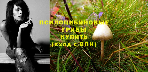 амф Володарск